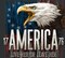 David Textiles Patriotic Love Her or Leave Her 35 Inch Panel 100% Cotton